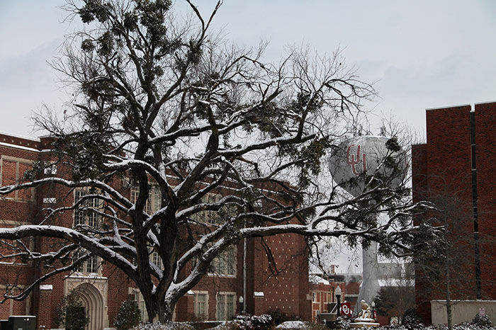 North campus