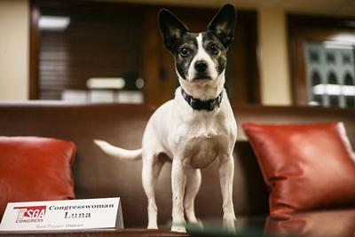 Congresswoman Luna