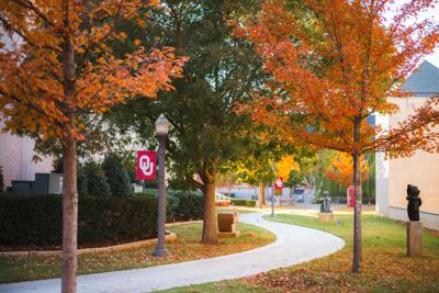 Fall pictures