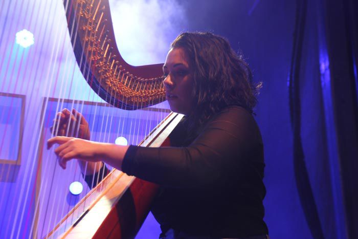Harpist