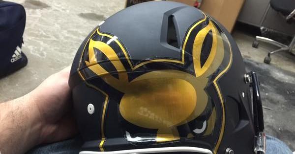 array motorcycle helmets Fox Racing - V1 Solid Helmet