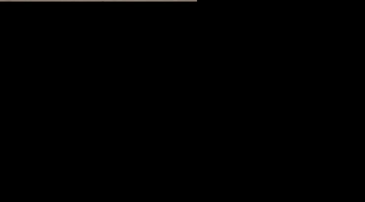 Screengrab of video