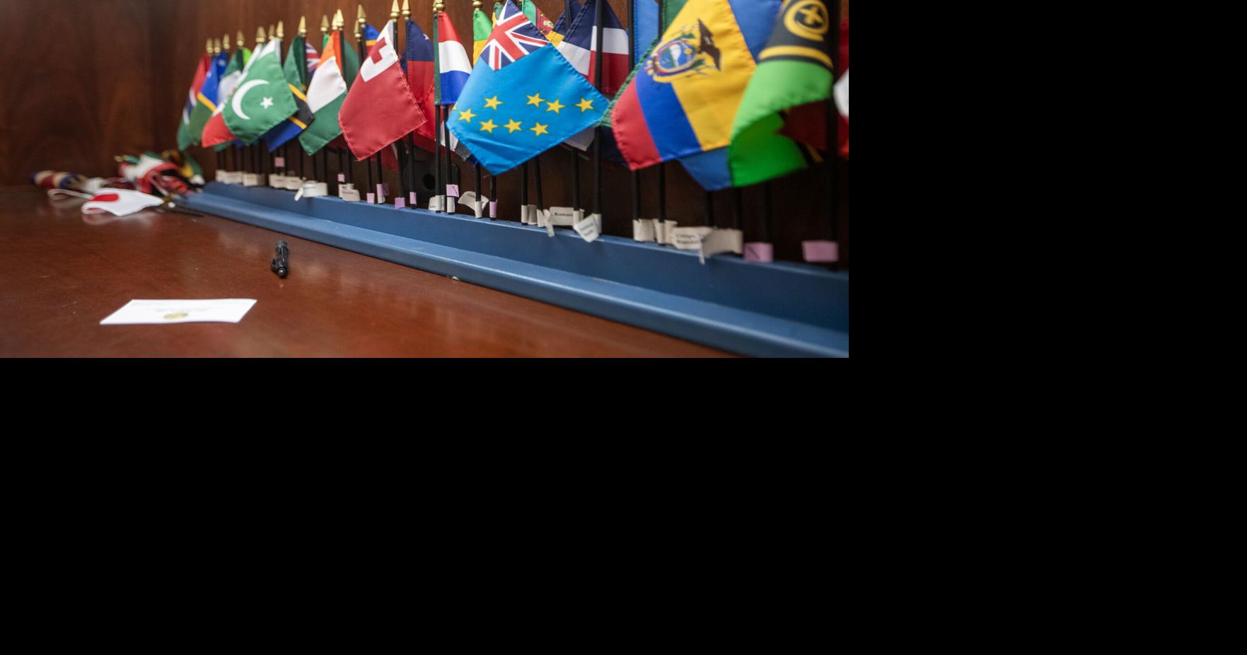 Former OU international students offer advice on finding opportunities, managing job stress