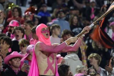 Tigers student section