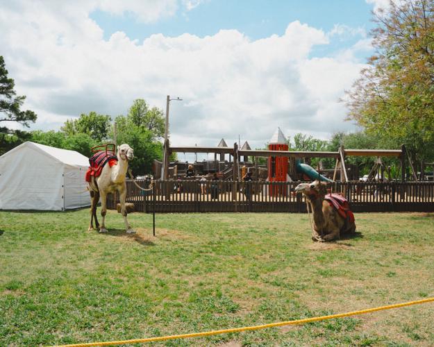 Medieval Fair of Norman