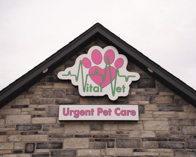 Vital Vet Urgent Care