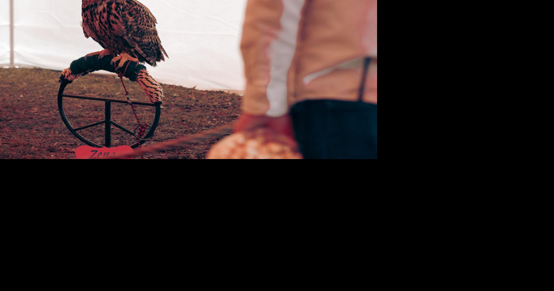 Weekly round-up: Election results, Medieval Fair, OU NCAA softball record