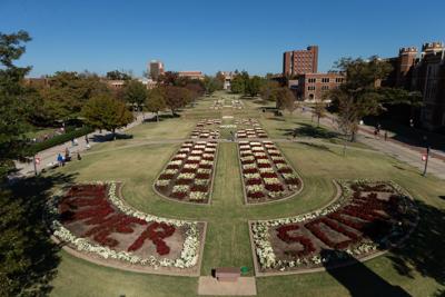 Mums on the South Oval
