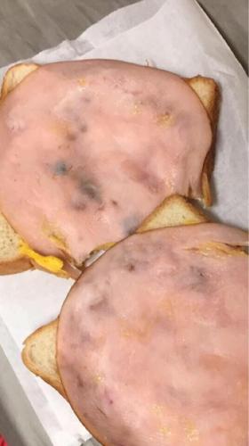Mold found in meat