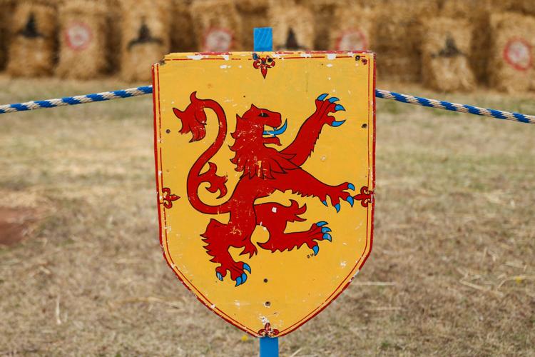 Norman Medieval Fair 2023 returns to Reaves Park Culture
