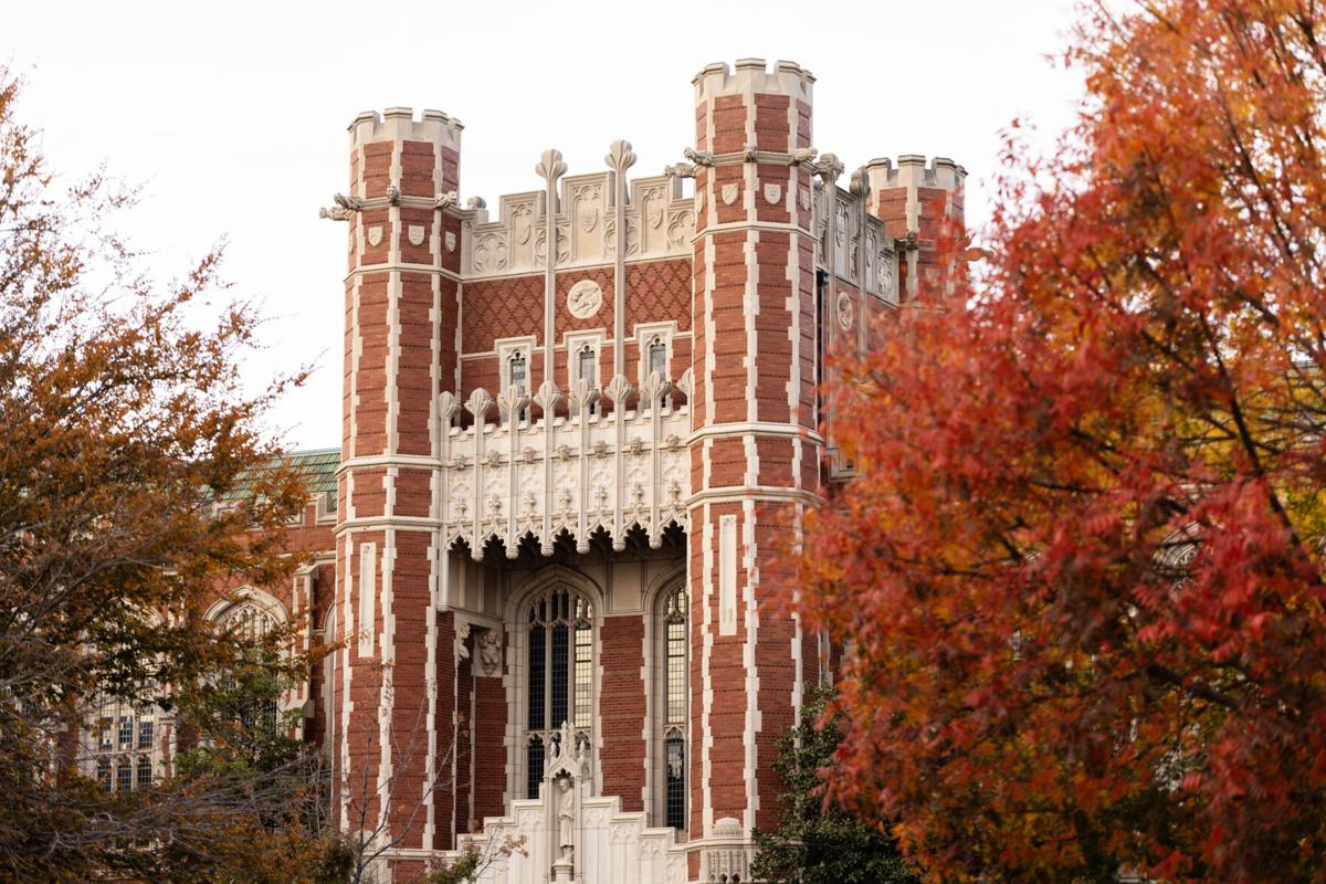 OU appoints professor as vice provost of online education | News ...