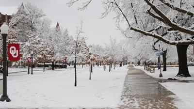 Snow on the South Oval
