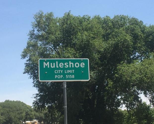 Muleshoe