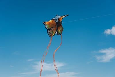 Monarchs in the Park