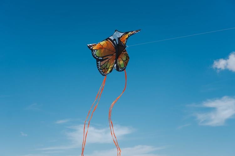Monarchs in the Park