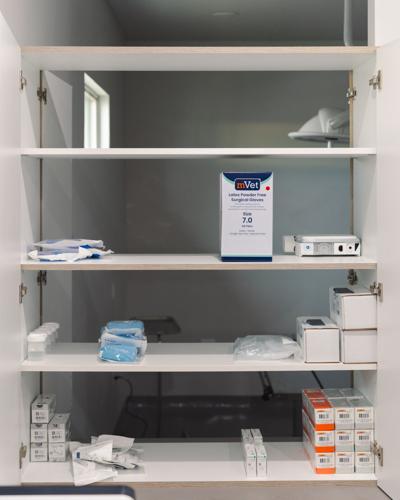 Vital Vet Urgent Care