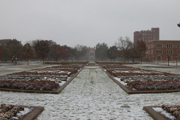 South Oval