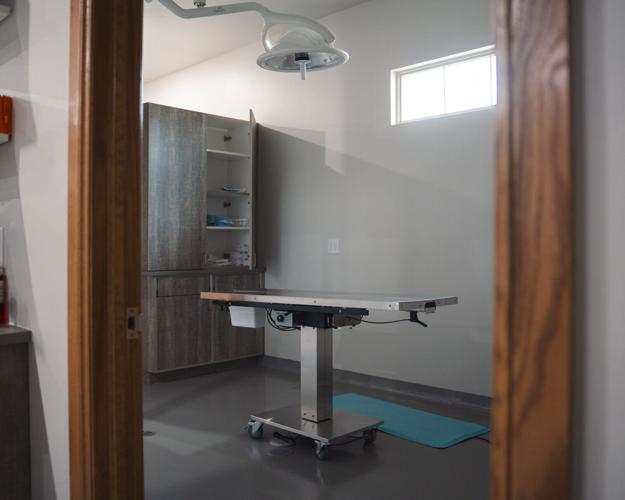 Vital Vet Urgent Care