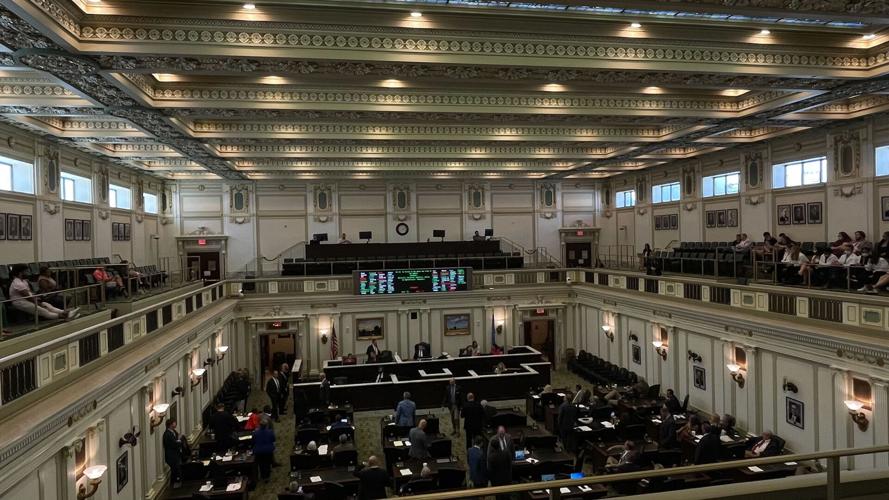 Protesters Decry Senate Bill Ending Certain Gender confirmation protesters-decry-senate-bill-ending-certain-gender-confirmation