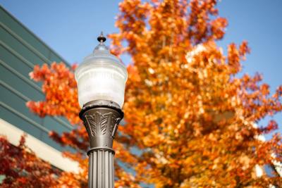 Fall pictures