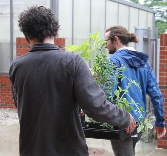 Botany Club's Annual Plant Sale (Gallery) Gallery