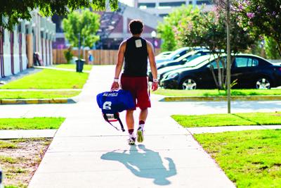 Mayfield Walks