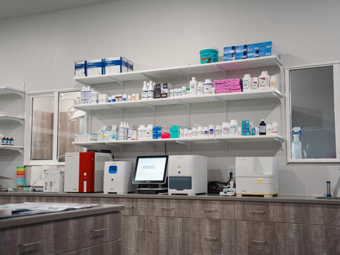 Vital Vet Urgent Care