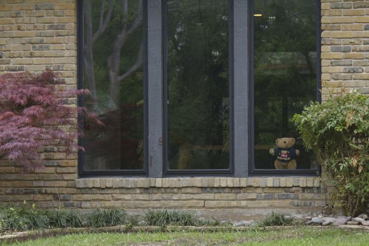 Teddy Bear