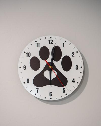 Vital Vet Urgent Care