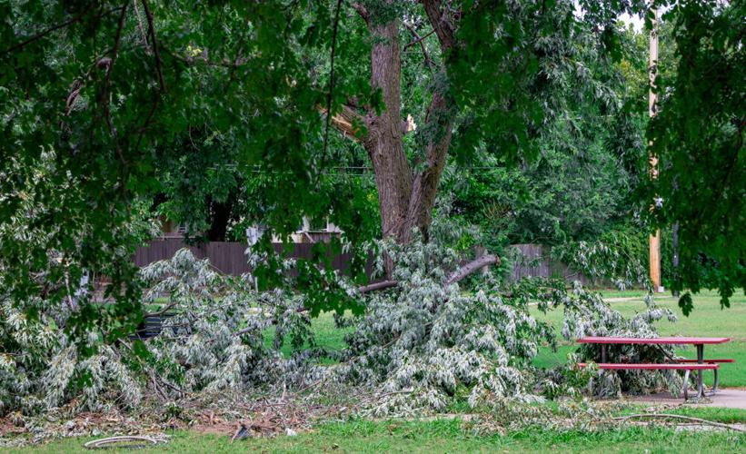 Norman storm damage