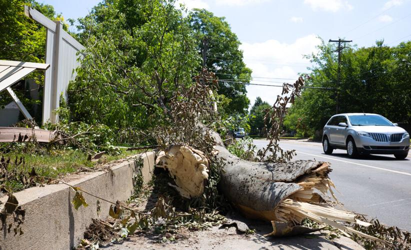 Norman storm damage