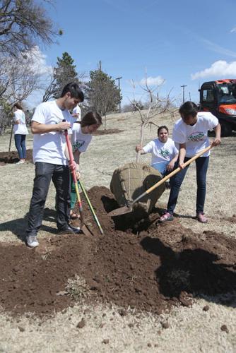 Arbor Day