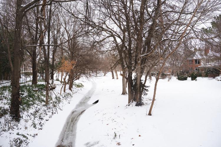 Snow day