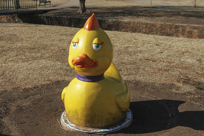 The Original "Samo Ducky"