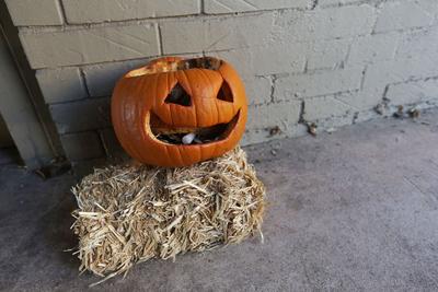 Be Green After Halloween 5 Eco Friendly Ways To Get Rid Of