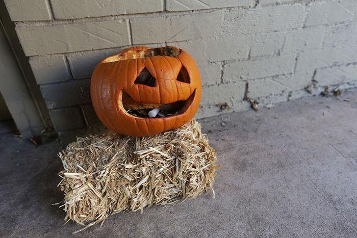 Be green after Halloween 5 ecofriendly ways to get rid of a pumpkin