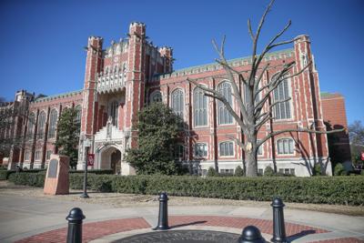 Bizzell Tree