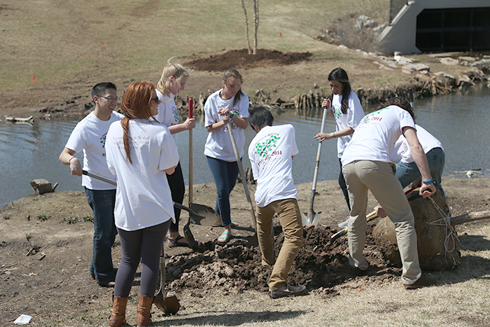 Arbor Day