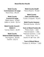 Mead Election Results