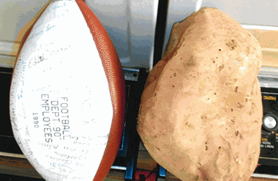 Aaron and Reba Johnson raise football-sized sweet potato