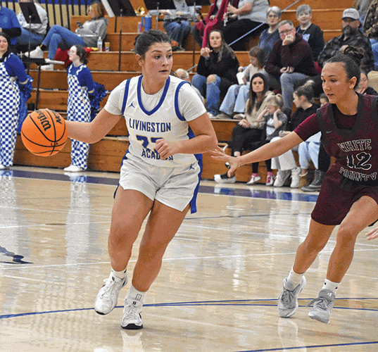Lady Cats lose close to Lady Jets Warriorettes Sports