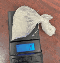 Traffic stop leads to meth arrest in Livingston | News ...