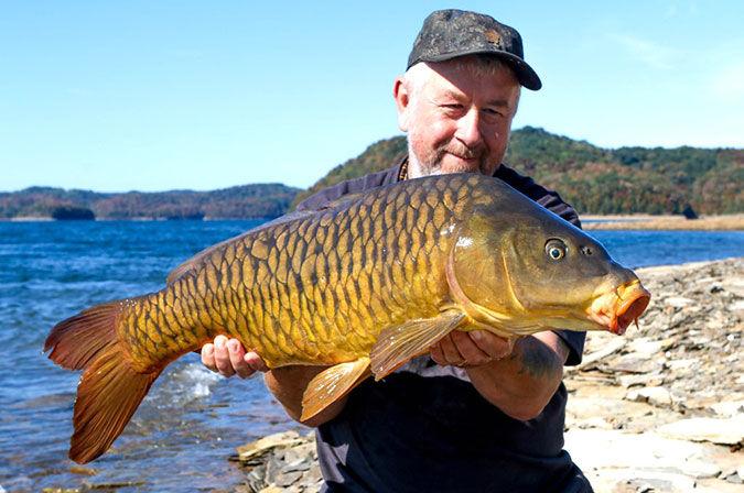 Dale Hollow Lake The Carp Angle Sports Overtoncountynews Com