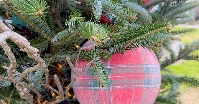 Sarah Says These are a few of my favorite things Lifestyles