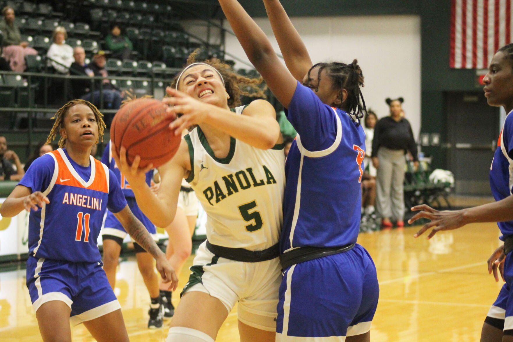 JUCO Basketball: Carr, Stifling Defense Propel Panola College Over ...