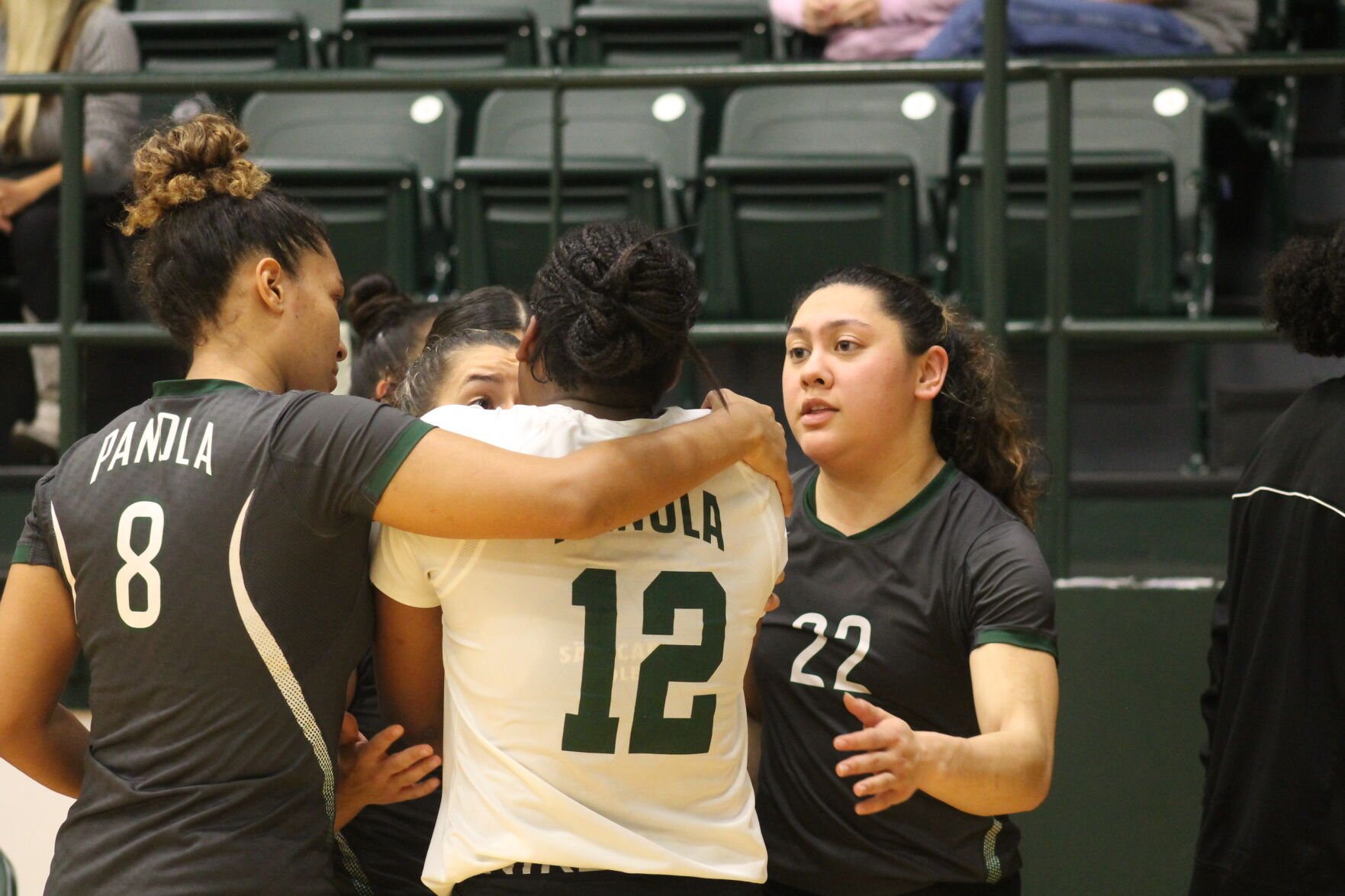 JUCO Volleyball: Panola College Falls In Region XIV Tourney Consolation ...