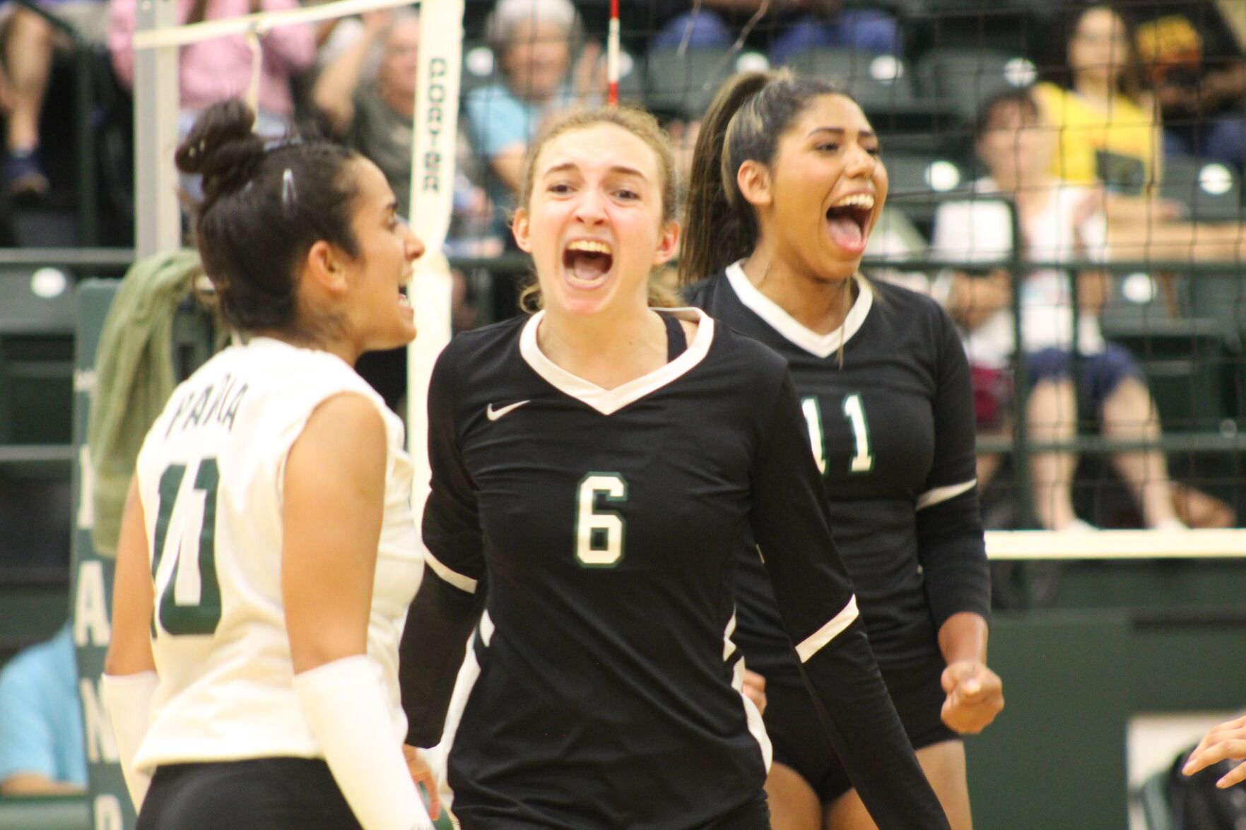 College Volleyball: Panola College Upsets No. 15 Blinn In Five In Home ...