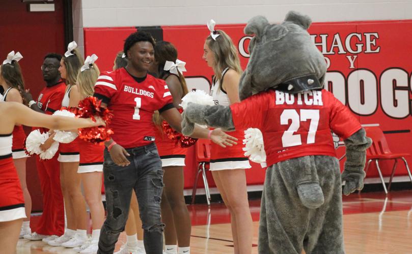 Meet The Bulldogs