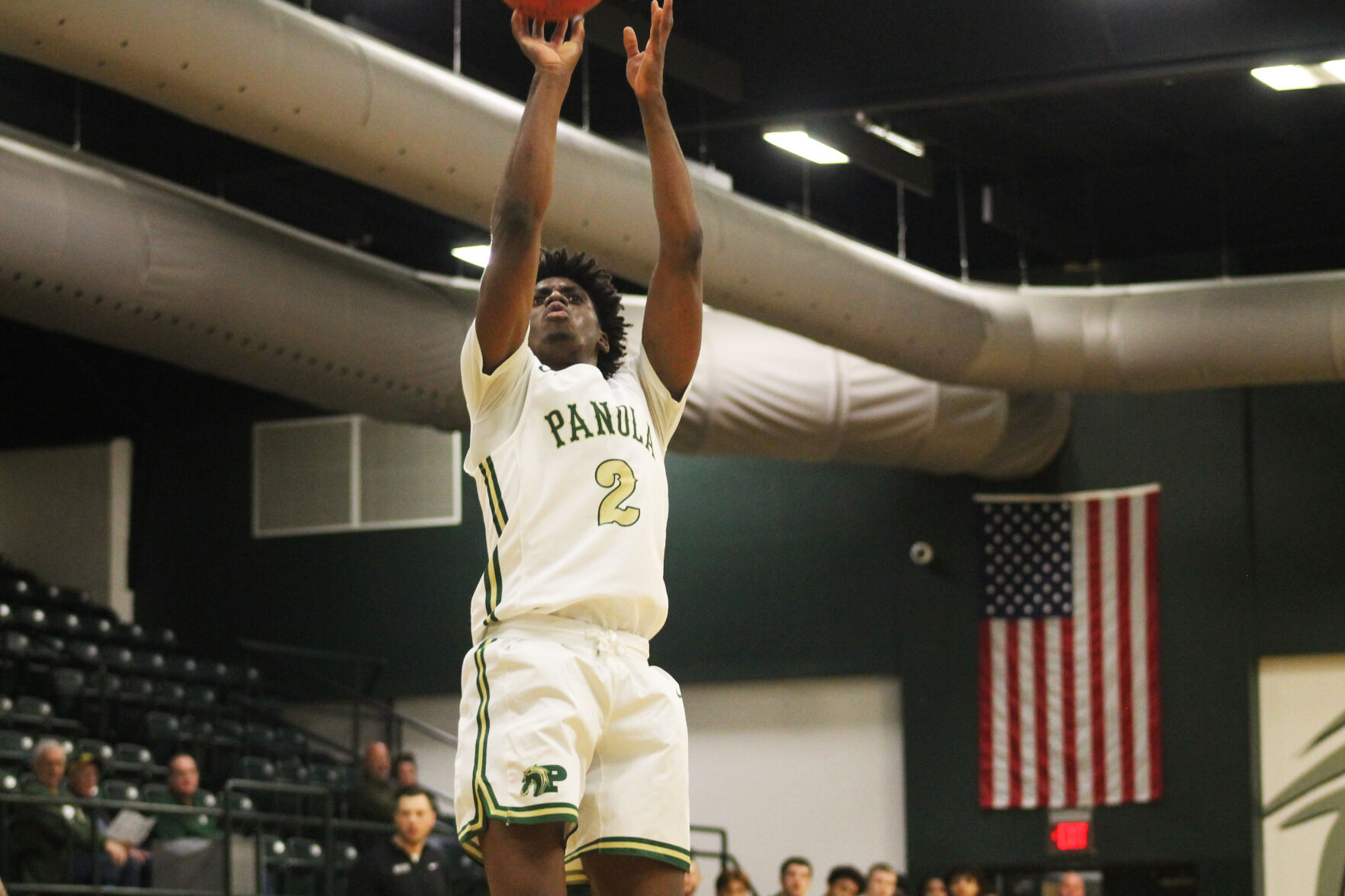 JUCO Basketball: Wilson And Greene Lead Panola College Ponies Over ...