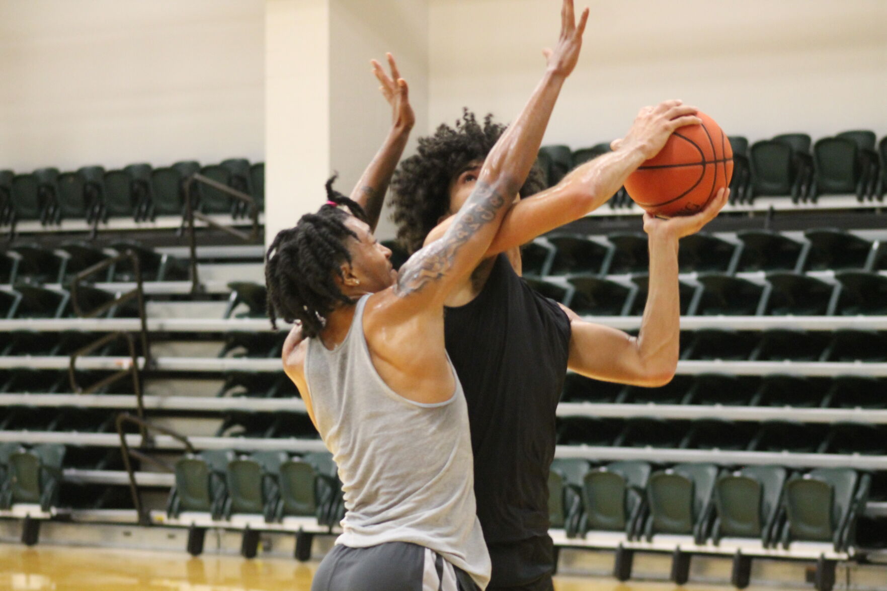 JUCO Men's Basketball: Nesbitt Liked What He Saw In Panola College's ...